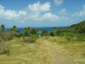 Track to the beach at Happy Bay