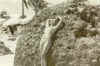 020910122200.jpg (23722 bytes)