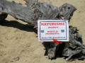 No Nudity warning at Happy Bay