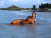 Orient Beach