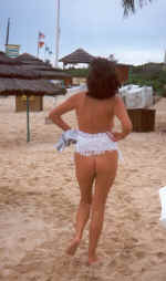 bikini_beach_exposure.jpg (27042 bytes)